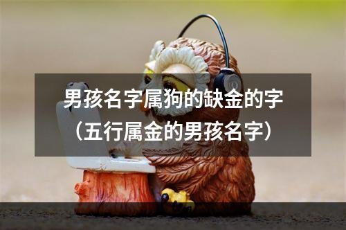 男孩名字属狗的缺金的字（五行属金的男孩名字）