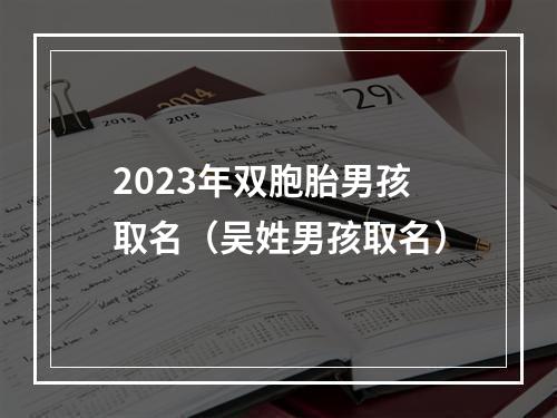 2023年双胞胎男孩取名（吴姓男孩取名）