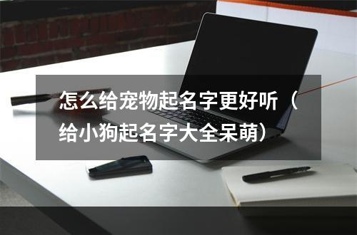 怎么给宠物起名字更好听（给小狗起名字大全呆萌）