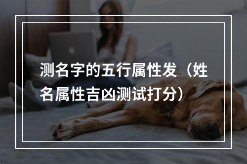 测名字的五行属性发（姓名属性吉凶测试打分）