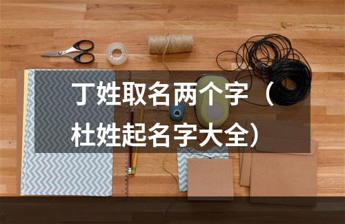 丁姓取名两个字（杜姓起名字大全）