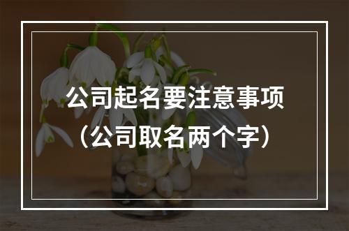 公司起名要注意事项（公司取名两个字）