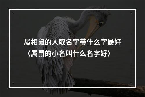 属相鼠的人取名字带什么字最好（属鼠的小名叫什么名字好）