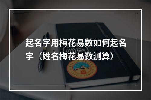 起名字用梅花易数如何起名字（姓名梅花易数测算）