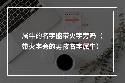 属牛的名字能带火字旁吗（带火字旁的男孩名字属牛）