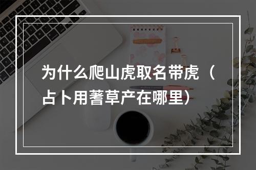 为什么爬山虎取名带虎（占卜用蓍草产在哪里）
