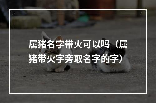 属猪名字带火可以吗（属猪带火字旁取名字的字）