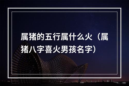属猪的五行属什么火（属猪八字喜火男孩名字）
