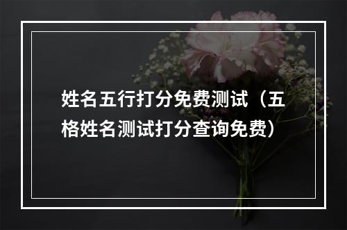 姓名五行打分免费测试（五格姓名测试打分查询免费）