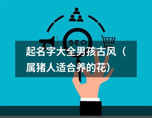 起名字大全男孩古风（属猪人适合养的花）