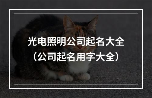 光电照明公司起名大全（公司起名用字大全）