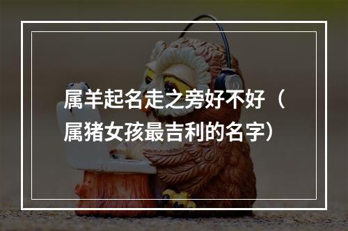 属羊起名走之旁好不好（属猪女孩最吉利的名字）