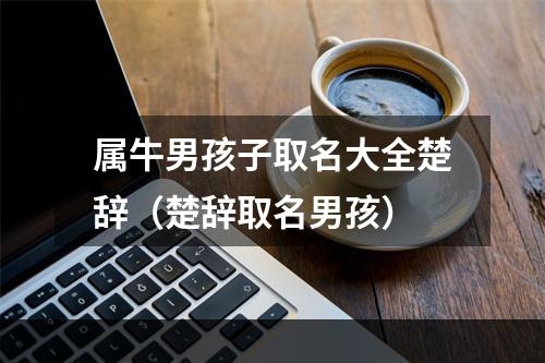 属牛男孩子取名大全楚辞（楚辞取名男孩）