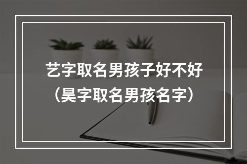 艺字取名男孩子好不好（昊字取名男孩名字）