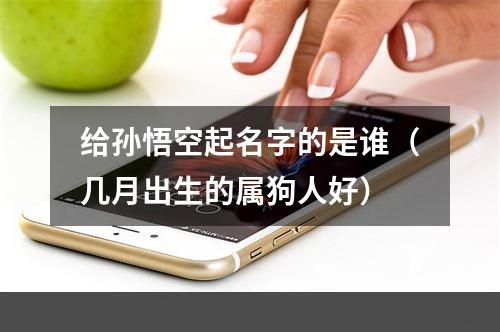 给孙悟空起名字的是谁（几月出生的属狗人好）