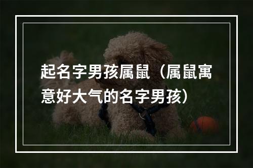 起名字男孩属鼠（属鼠寓意好大气的名字男孩）