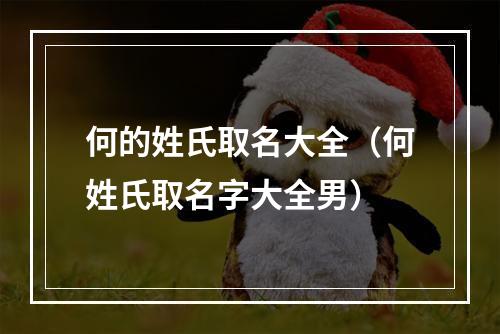 何的姓氏取名大全（何姓氏取名字大全男）