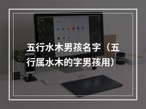 五行水木男孩名字（五行属水木的字男孩用）