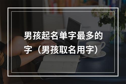 男孩起名单字最多的字（男孩取名用字）