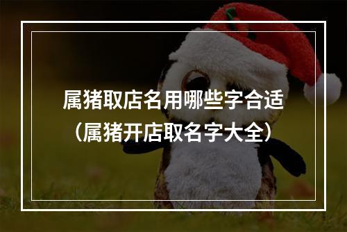 属猪取店名用哪些字合适（属猪开店取名字大全）