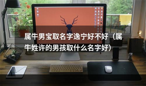 属牛男宝取名字逸宁好不好（属牛姓许的男孩取什么名字好）