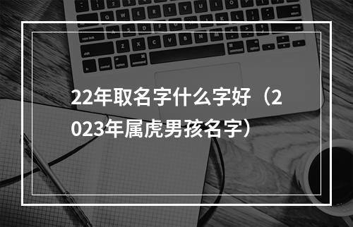 22年取名字什么字好（2023年属虎男孩名字）