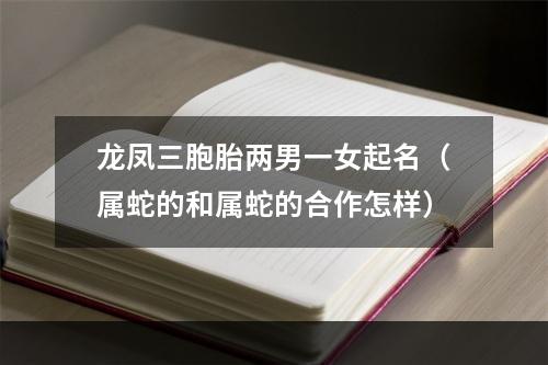 龙凤三胞胎两男一女起名（属蛇的和属蛇的合作怎样）