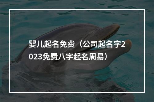 婴儿起名免费（公司起名字2023免费八字起名周易）