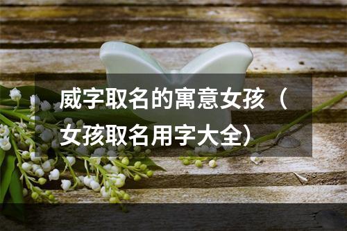 威字取名的寓意女孩（女孩取名用字大全）