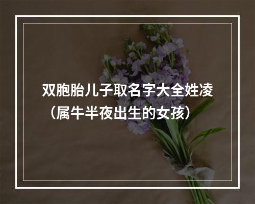 双胞胎儿子取名字大全姓凌（属牛半夜出生的女孩）