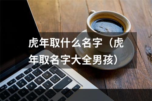 虎年取什么名字（虎年取名字大全男孩）