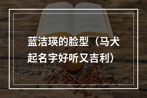 蓝洁瑛的脸型（马犬起名字好听又吉利）