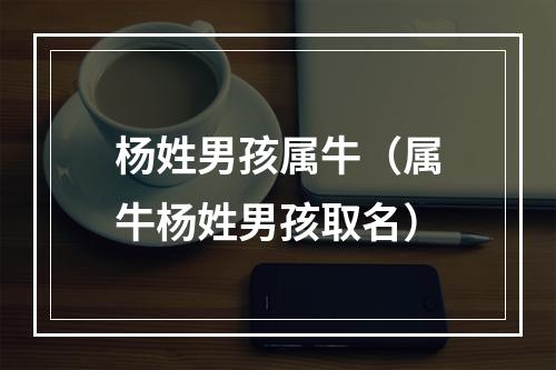 杨姓男孩属牛（属牛杨姓男孩取名）