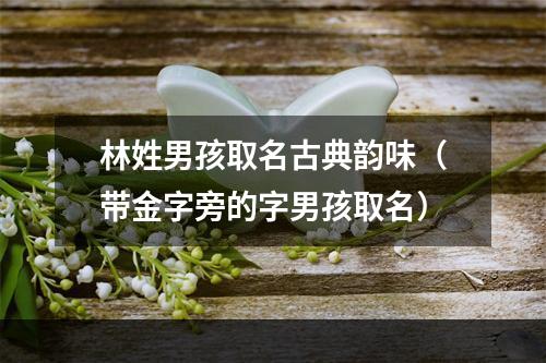 林姓男孩取名古典韵味（带金字旁的字男孩取名）