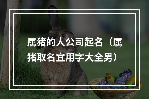 属猪的人公司起名（属猪取名宜用字大全男）