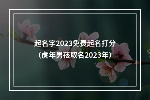 起名字2023免费起名打分（虎年男孩取名2023年）