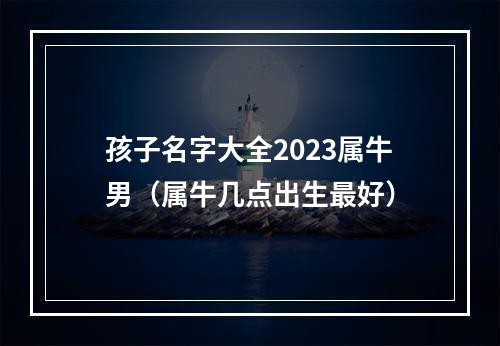 孩子名字大全2023属牛男（属牛几点出生最好）