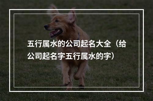 五行属水的公司起名大全（给公司起名字五行属水的字）