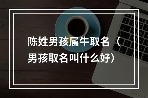 陈姓男孩属牛取名（男孩取名叫什么好）