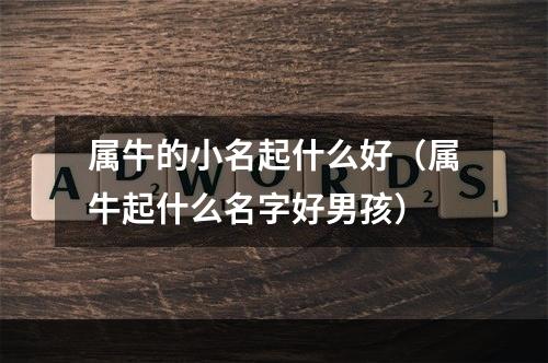 属牛的小名起什么好（属牛起什么名字好男孩）