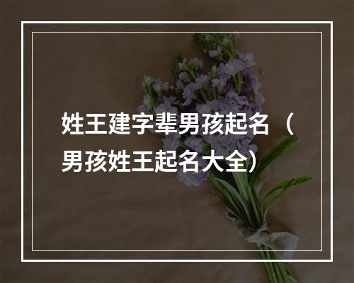 姓王建字辈男孩起名（男孩姓王起名大全）