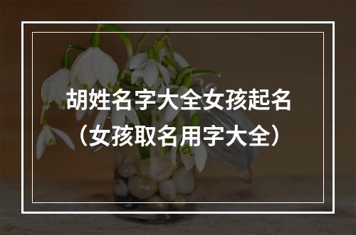 胡姓名字大全女孩起名（女孩取名用字大全）
