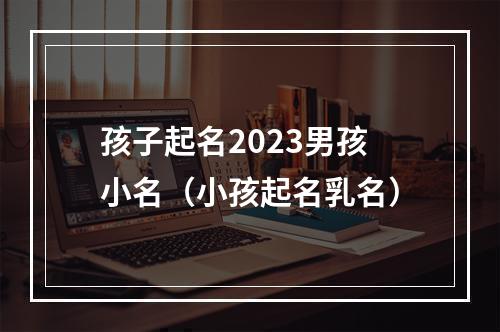 孩子起名2023男孩小名（小孩起名乳名）