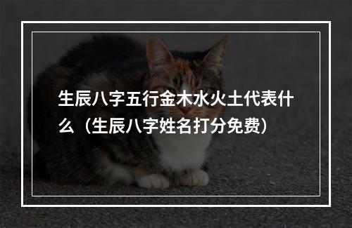 生辰八字五行金木水火土代表什么（生辰八字姓名打分免费）