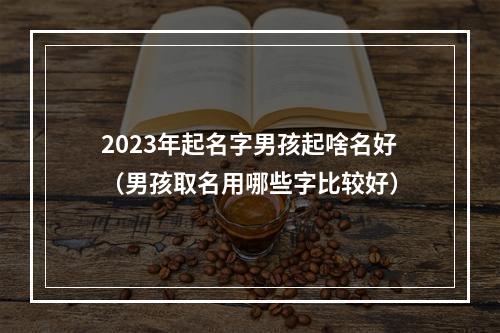 2023年起名字男孩起啥名好（男孩取名用哪些字比较好）
