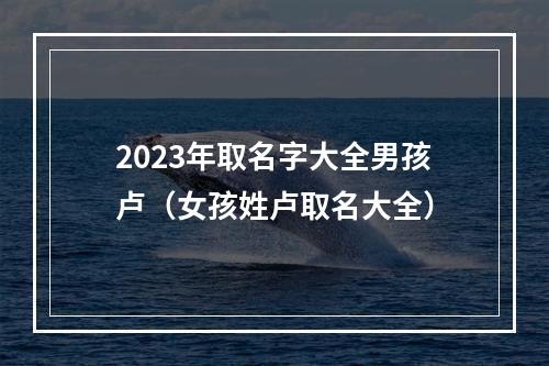 2023年取名字大全男孩卢（女孩姓卢取名大全）