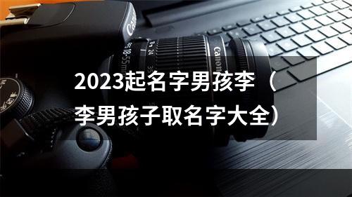 2023起名字男孩李（李男孩子取名字大全）