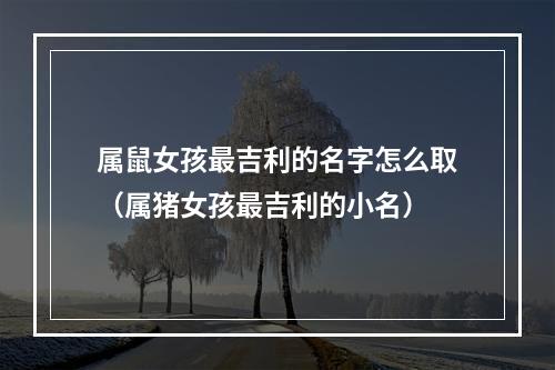 属鼠女孩最吉利的名字怎么取（属猪女孩最吉利的小名）
