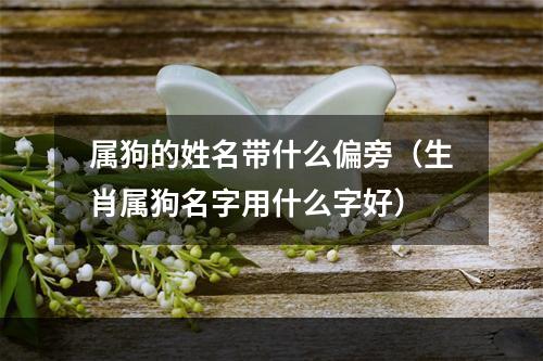属狗的姓名带什么偏旁（生肖属狗名字用什么字好）