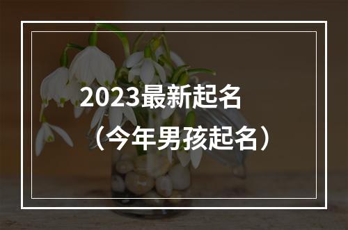 2023最新起名（今年男孩起名）